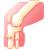 ارتوپدی